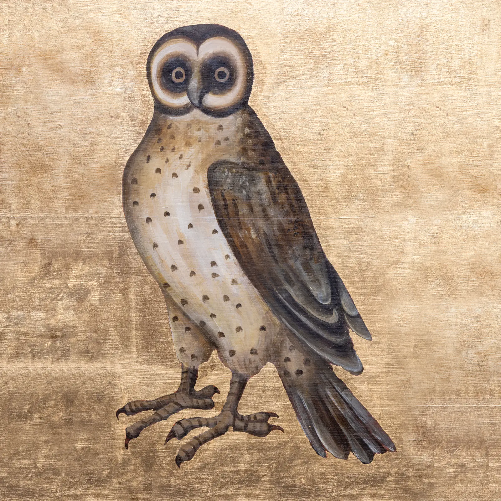 Owl
