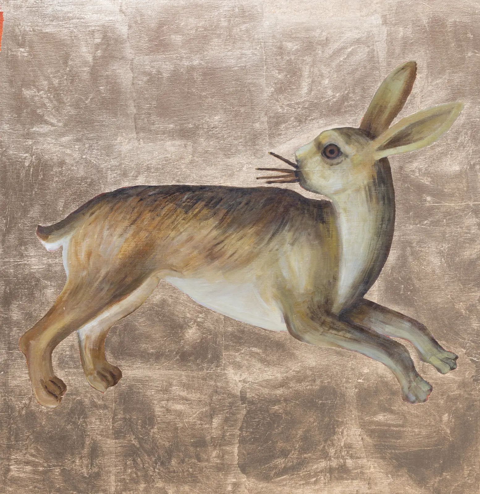 Hare